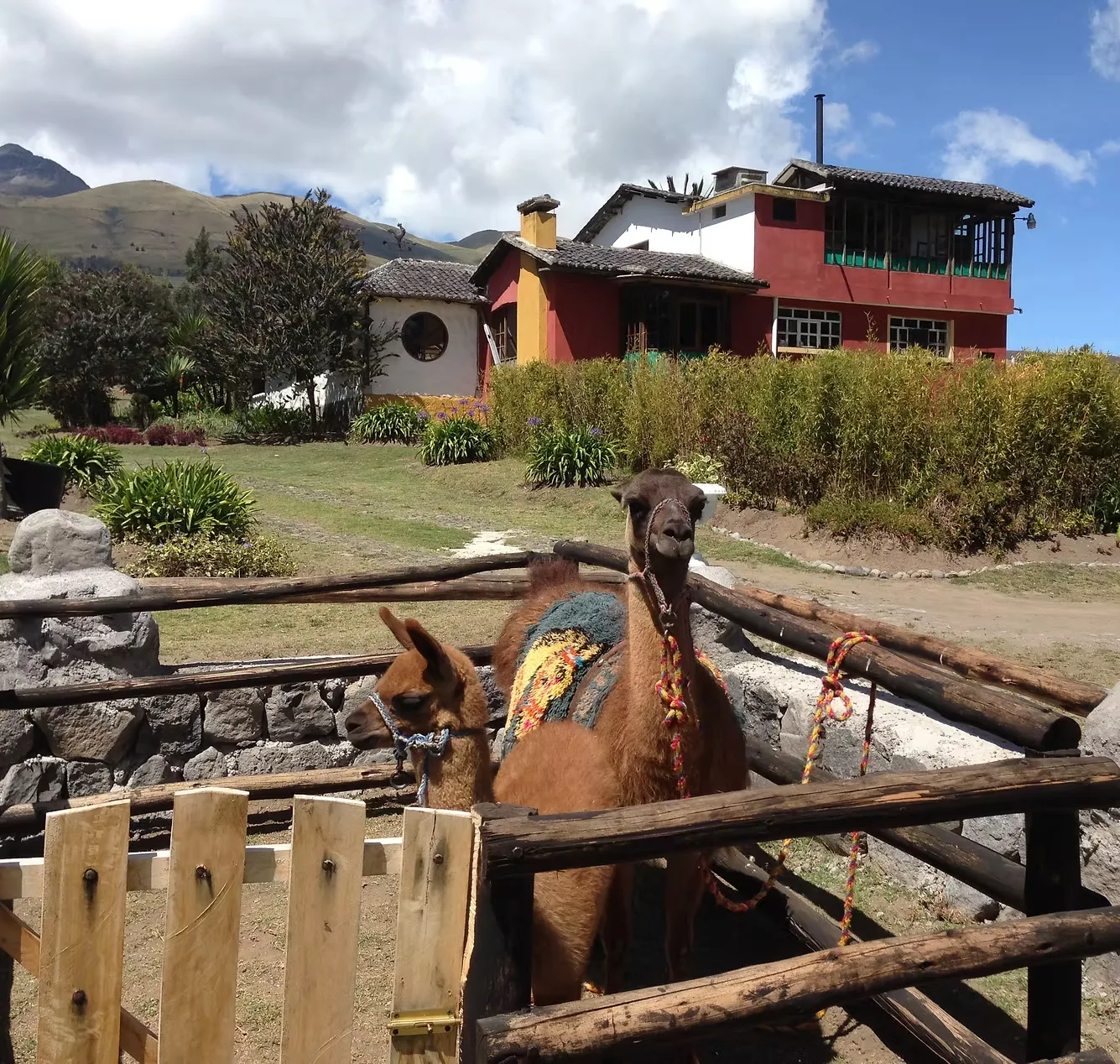 Hostería La Estación - Actividades y Granja