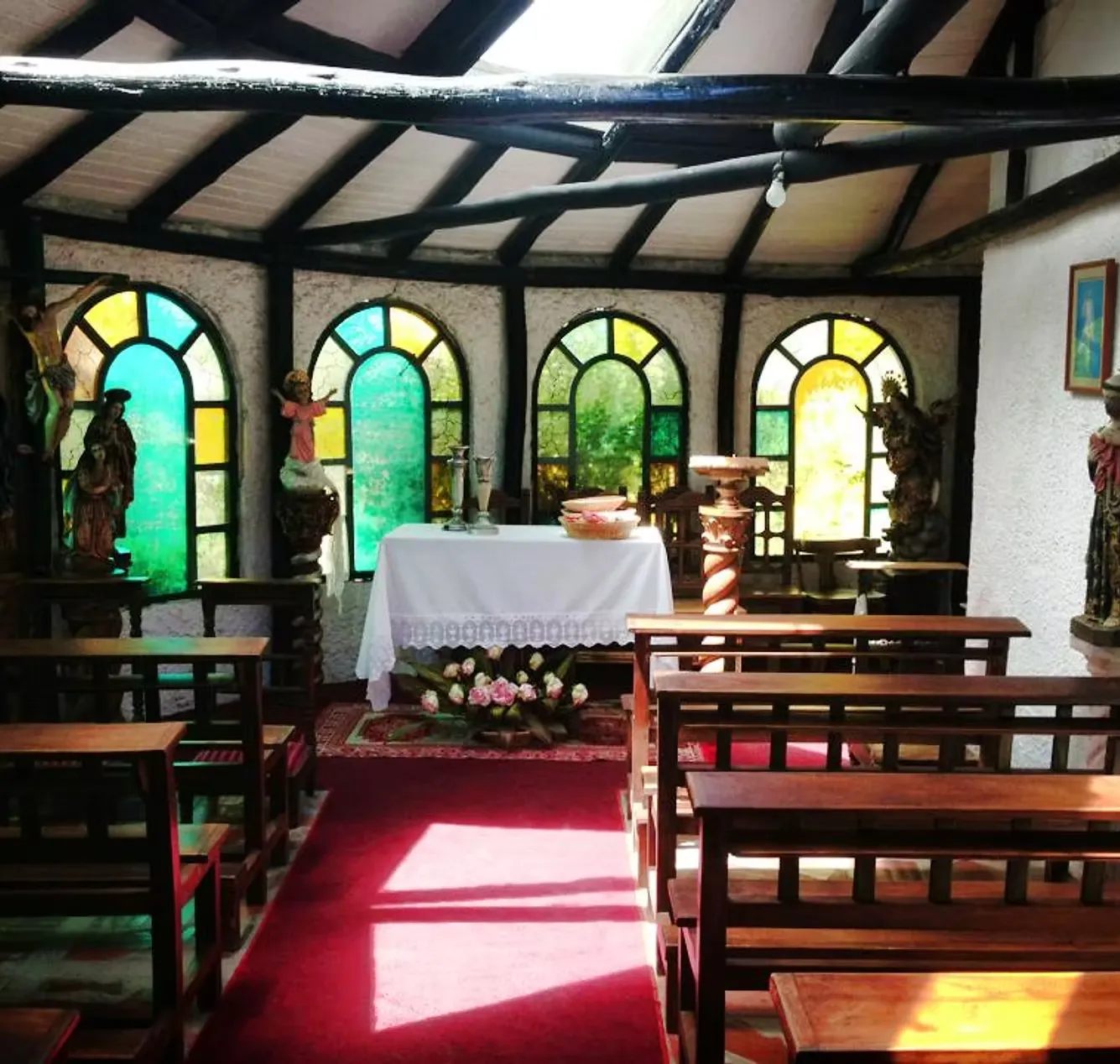 Jardines y Naturaleza